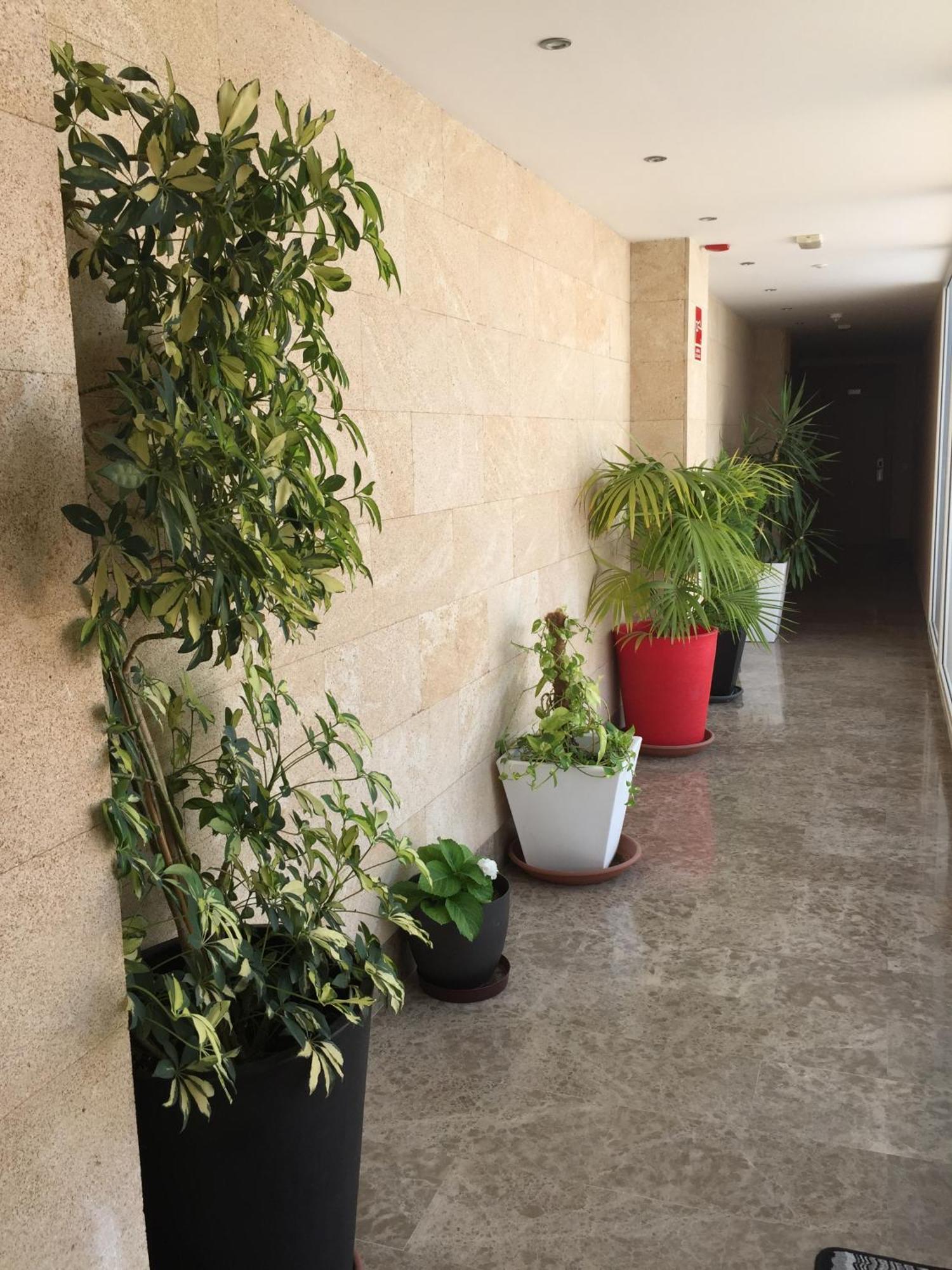 Apartamentos Parking Merida Exterior photo